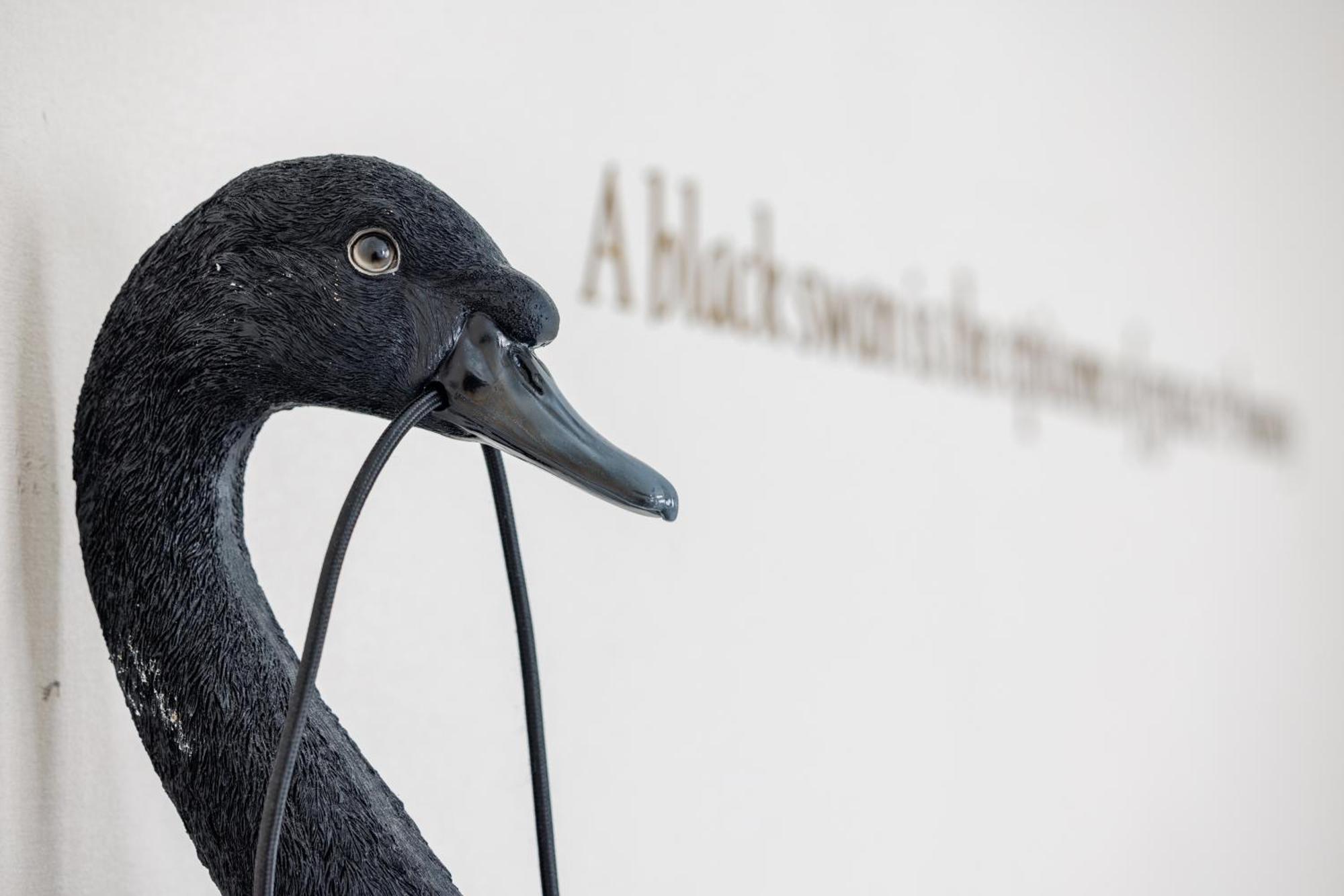 The Black Swan 3* Brugge